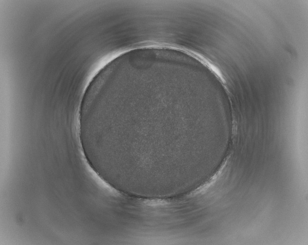 X0000115371239200911171407