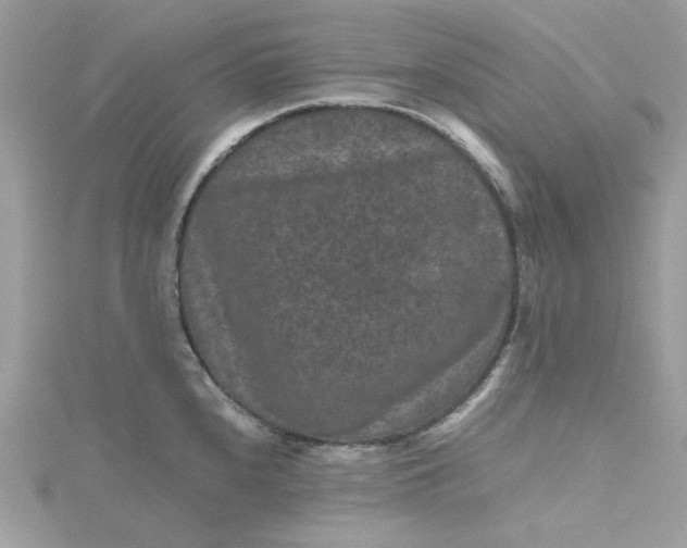 X0000115371240200911171407