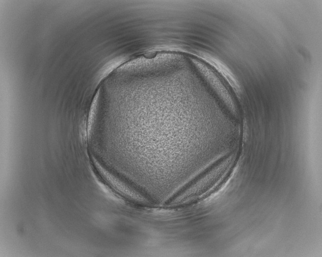 X0000115371241200911171407