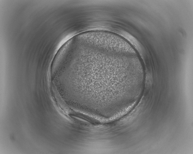 X0000115371242200911171407