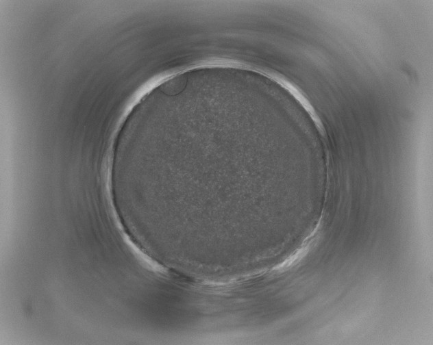 X0000115371245200911171407