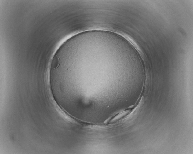 X0000115371246200911171407