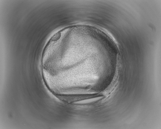 X0000115371247200911171407