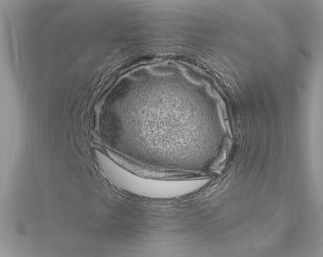 X0000115371249200911171407