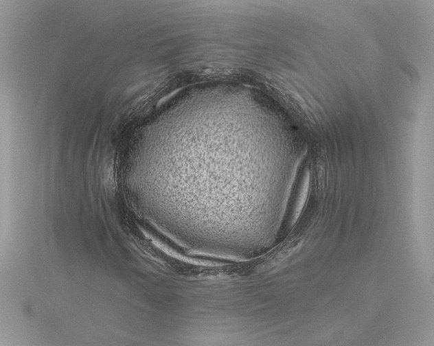 X0000115371250200911171407