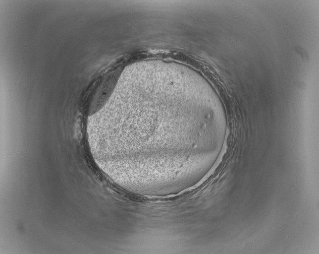 X0000115371253200911171407