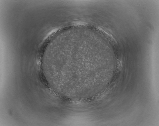 X0000115371254200911171407