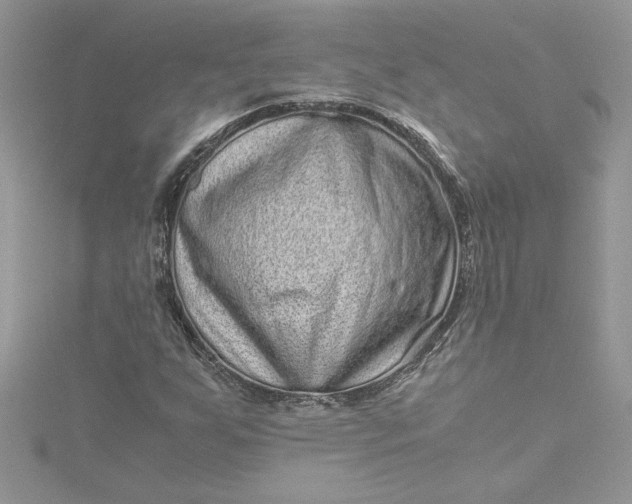X0000115371255200911171407