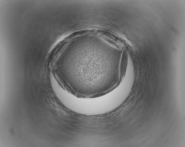 X0000115371256200911171407
