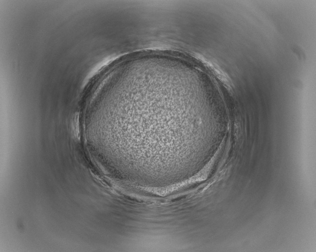 X0000115371262200911171407