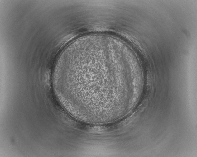X0000115371265200911171406