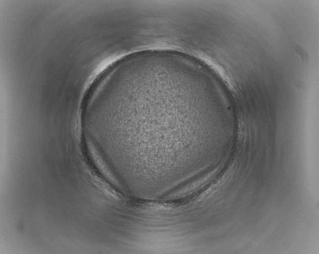 X0000115371270200911171406