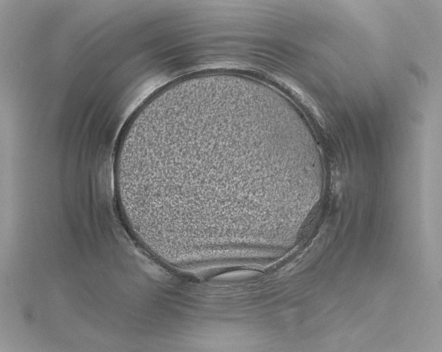 X0000115371274200911171406