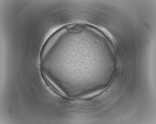 X0000115371287200911171406