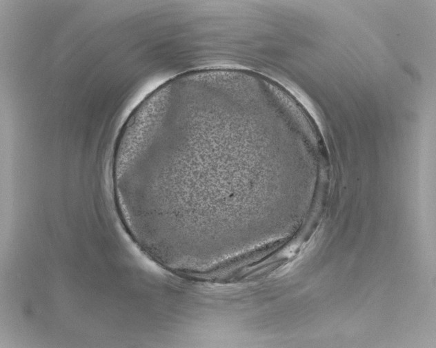 X0000115371293200911171406