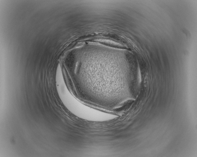 X0000115371298200911171405