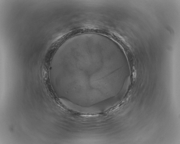 X0000115371303200911171405