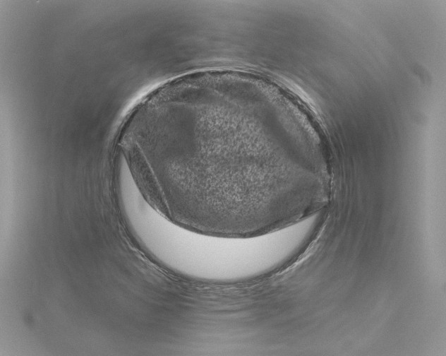 X0000115371310200911171406
