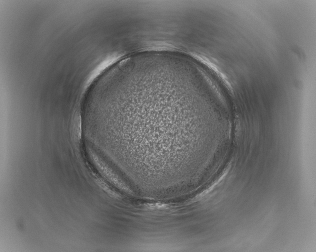 X0000115371317200911171406