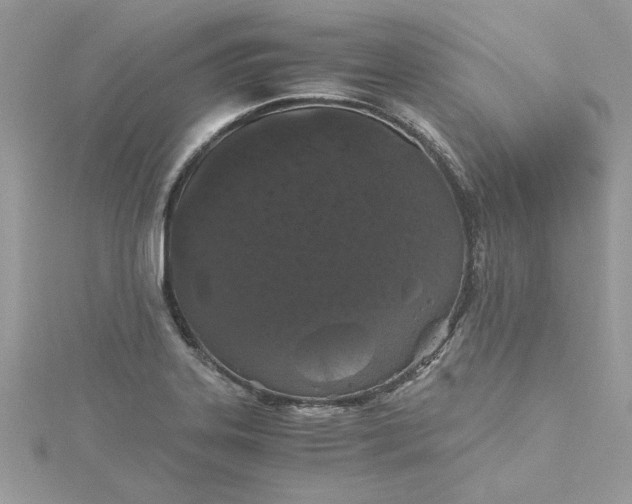 X0000115371323200911171406