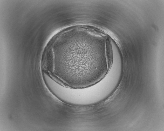 X0000115371334200911171406