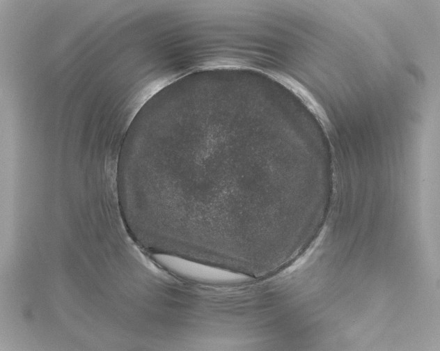 X0000115371337200911171406