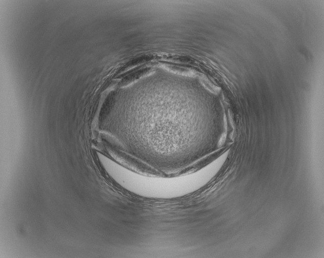 X0000115371345200911171405