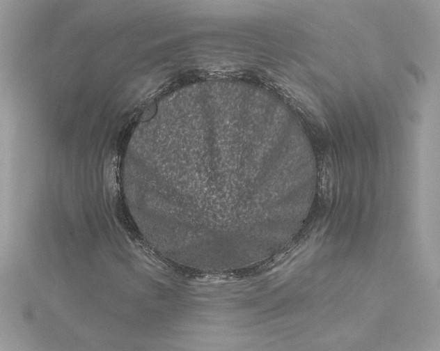 X0000115371346200911171405