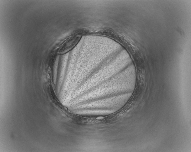 X0000115371349200911171405