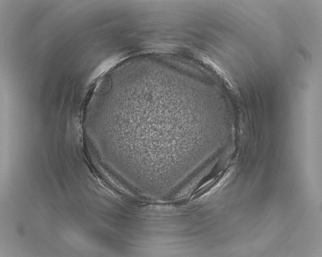 X0000115371354200911171405