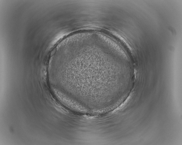 X0000115371355200911171405