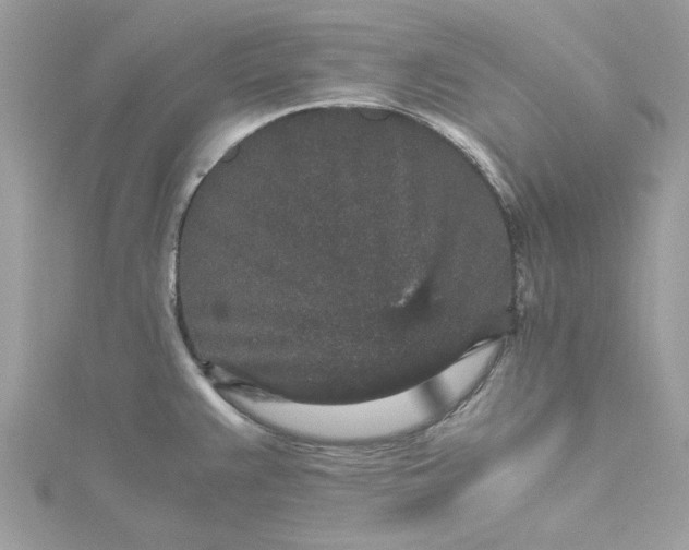 X0000115371383200911171405