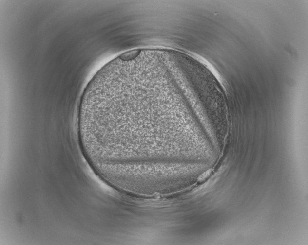 X0000115371387200911171405