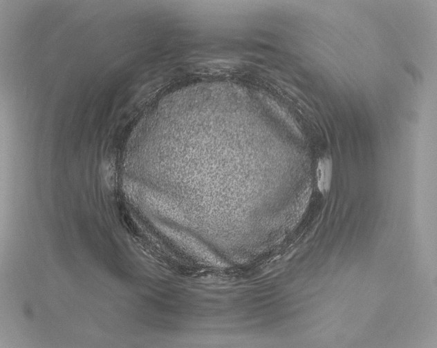 X0000115371395200911171404