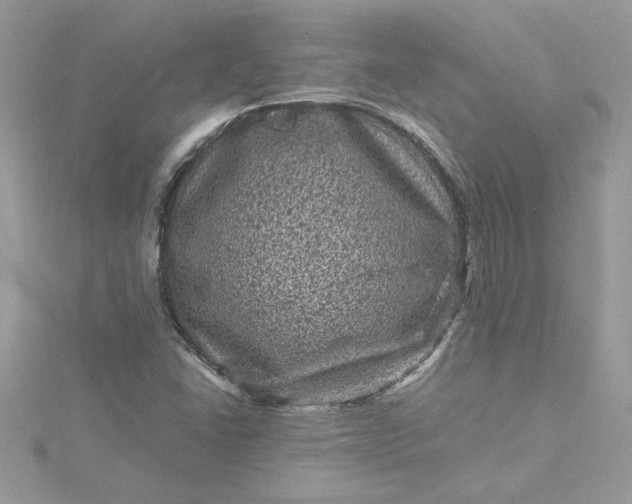 X0000115371406200911171404