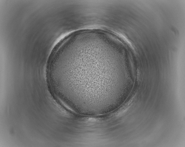 X0000115371412200911171404