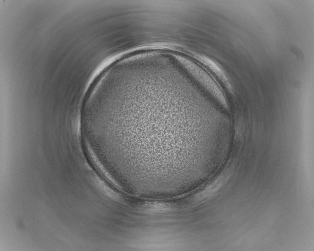 X0000115371420200911171404