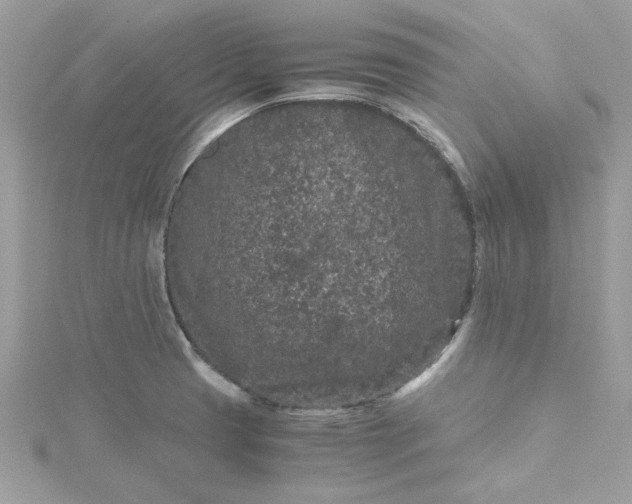 X0000115371425200911171404