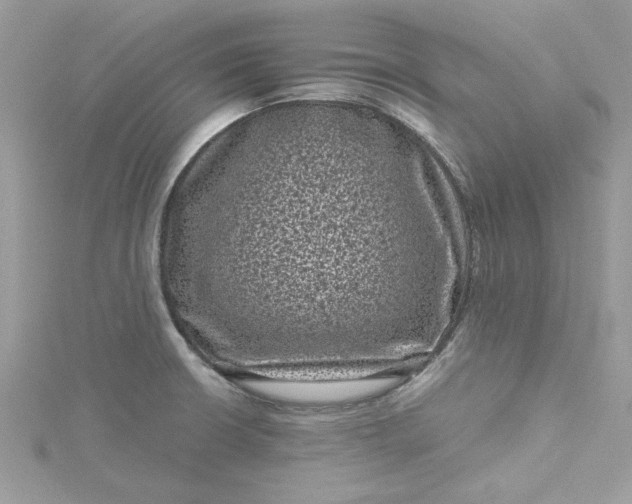 X0000115371426200911171404