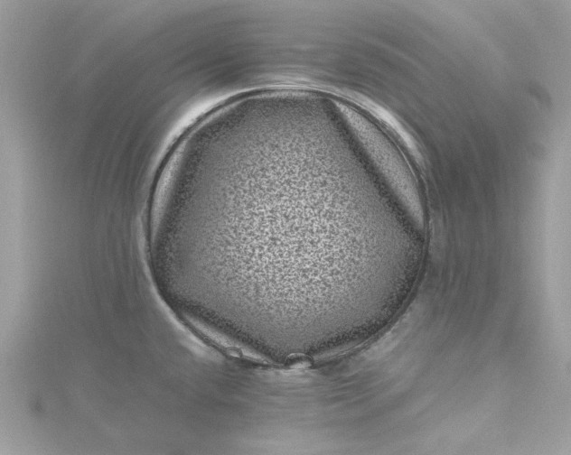 X0000115371432200911171405