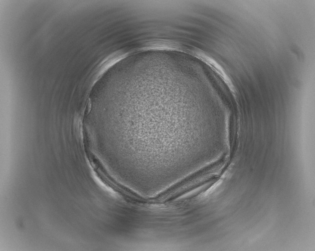 X0000115371433200911171405