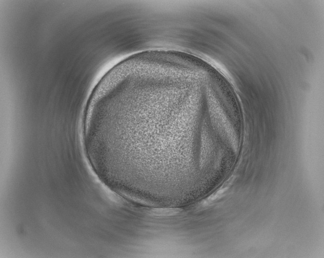 X0000115371440200911171405