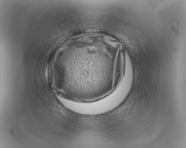 X0000115371444200911171404
