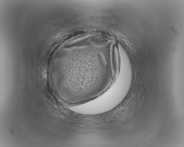 X0000115371445200911171404