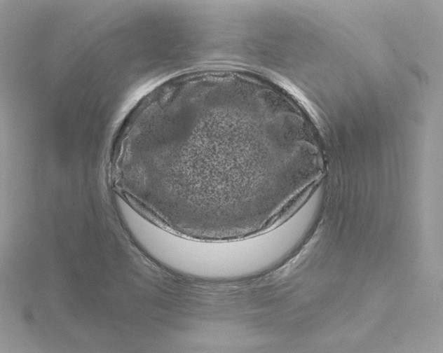 X0000115371461200911171404