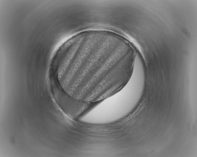 X0000115371464200911171404