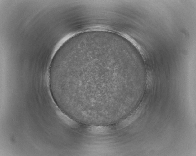 X0000115371474200911171404