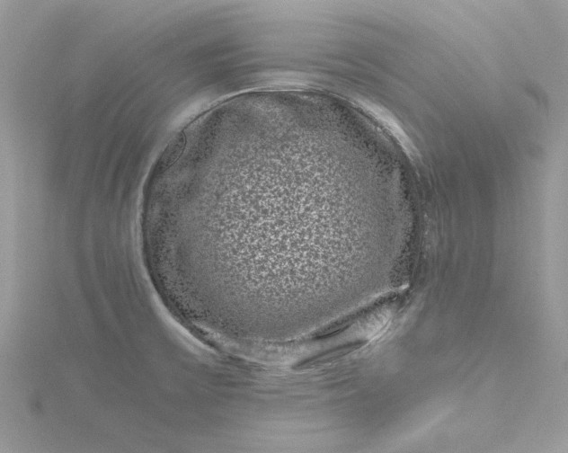 X0000115371475200911171403
