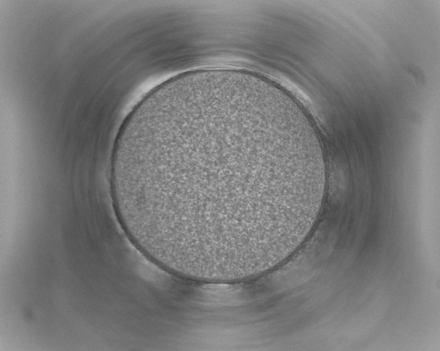 X0000115371478200911171403