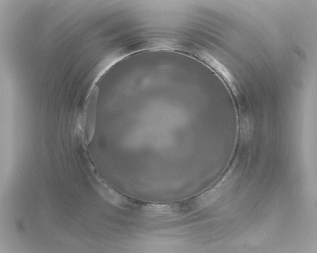 X0000115371481200911171403